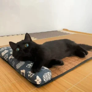 {title} — rattan weave cooling mat for cats and dogs