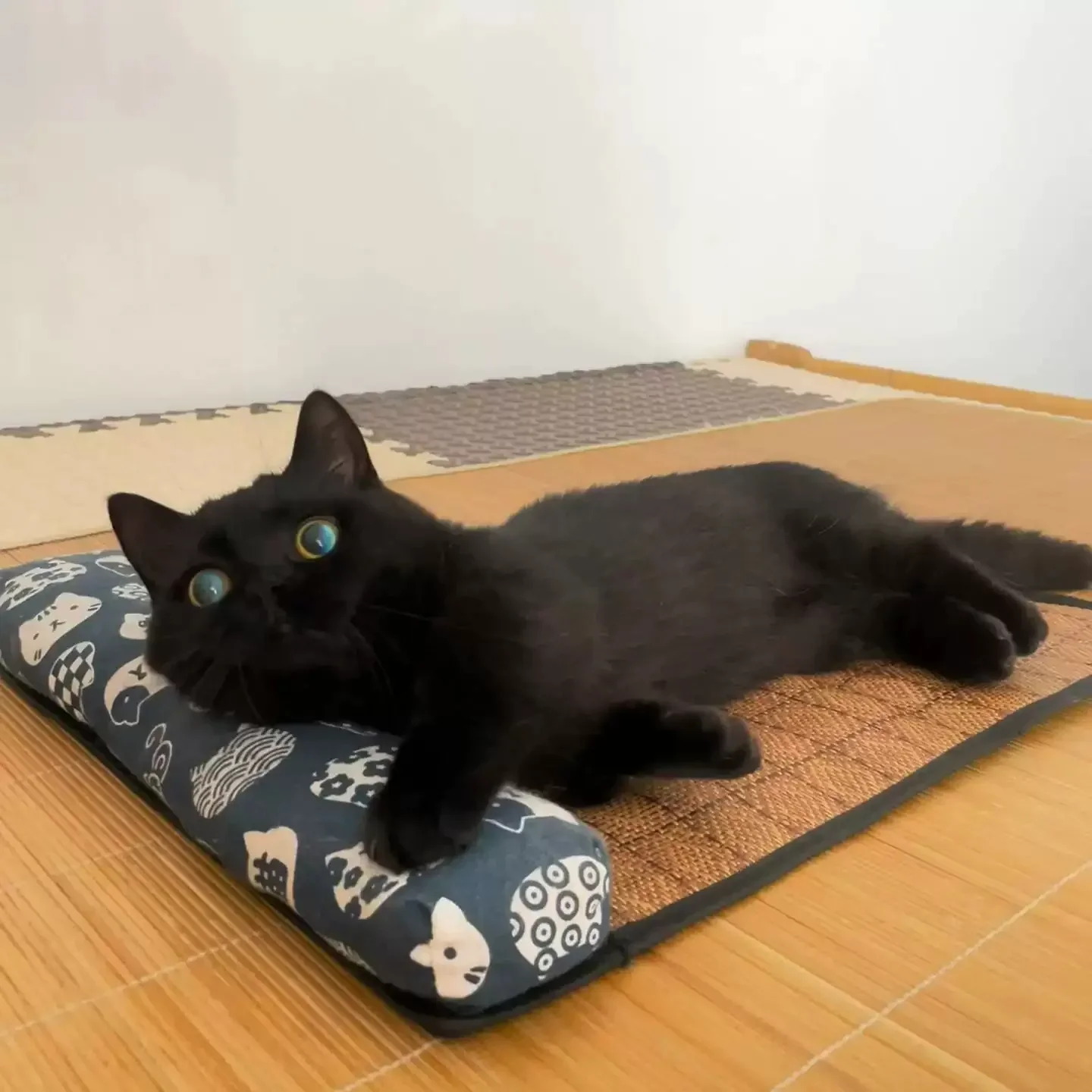 {title} — rattan weave cooling mat for cats and dogs