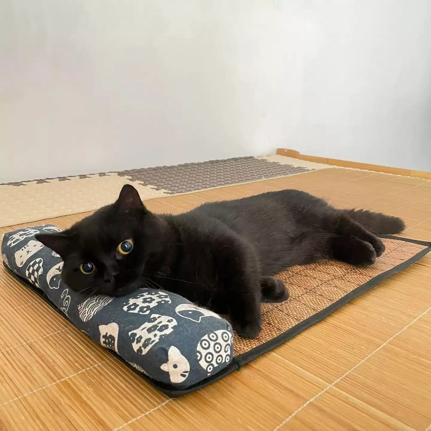 {title} — rattan weave cooling mat for cats and dogs – view 2
