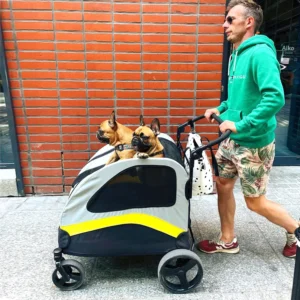 {title} — four-wheel foldable dog stroller, view {index}