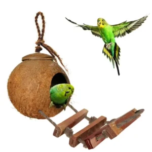 Natural coconut shell hanging bird house with ladder