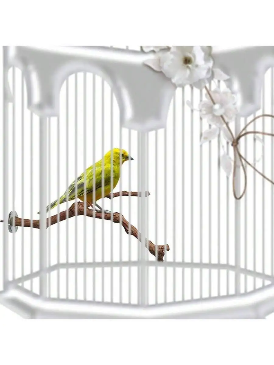 Natural grape wood bird perch and toy ball for {species} – view 2