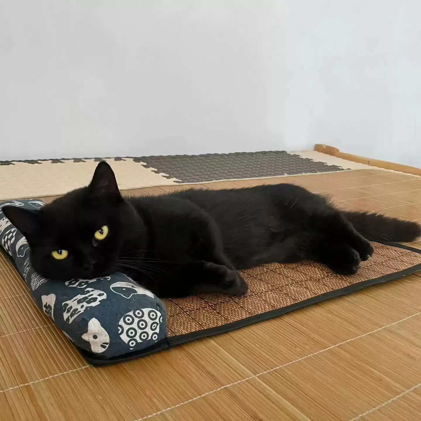 {title} — rattan weave cooling mat for cats and dogs – view 3