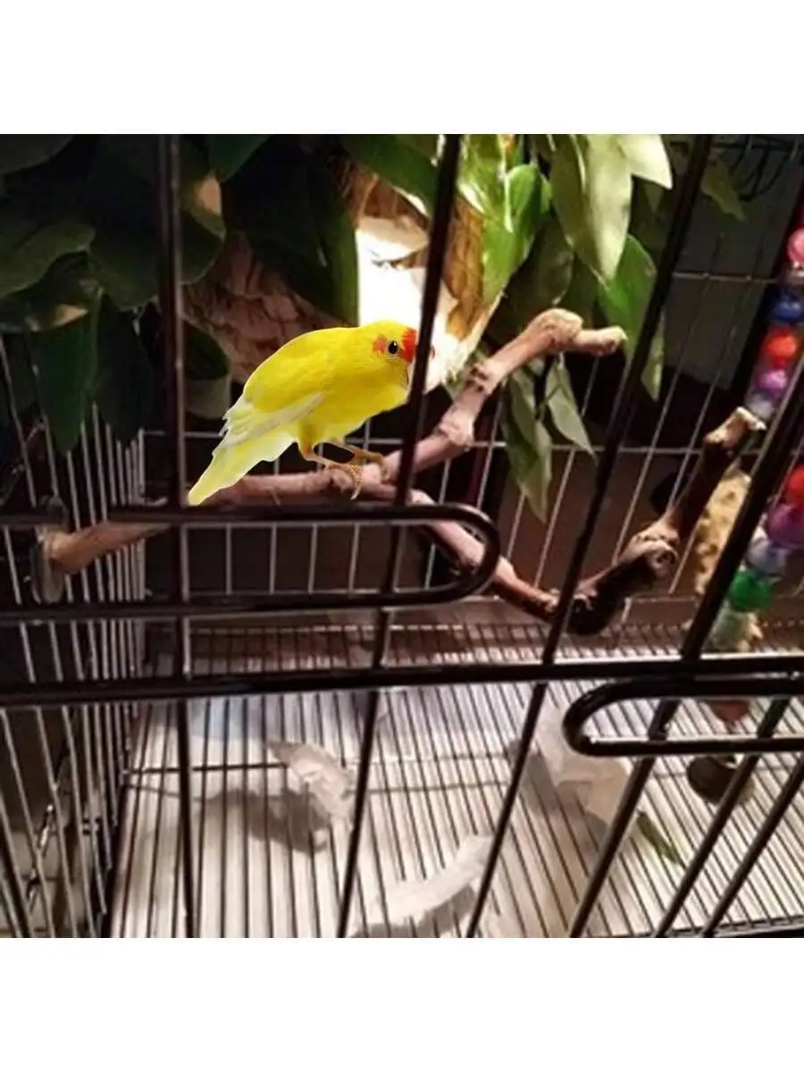 Natural grape wood bird perch and toy ball for {species} – view 4