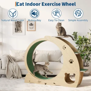 6-in-1 cat exercise wheel with scratch post and bowls