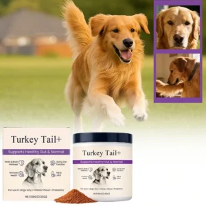 Dog Probiotic Intestinal Powder Delicious Bacon Flavor Digestive Support Long Shelf Life Premium Pet Health Supplement