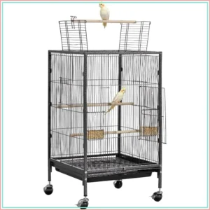 Bird Cage 18x18x30 inch Open Top Wrought Iron Flight Cage with Perches, Tray, Feeders & Casters for Parrot, Cockatiel, Canary, Budgie, Conure